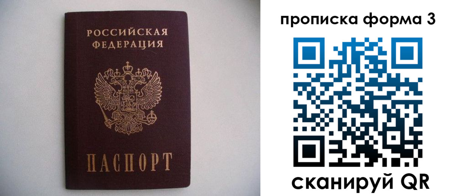 прописка в Брянской области